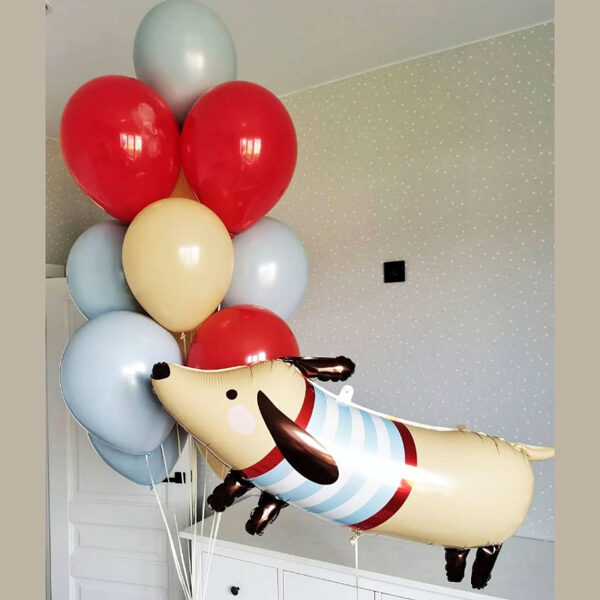 Hēlija balonu kompozīcija "Balonu pušķis no 10gb un sunītis taksa".