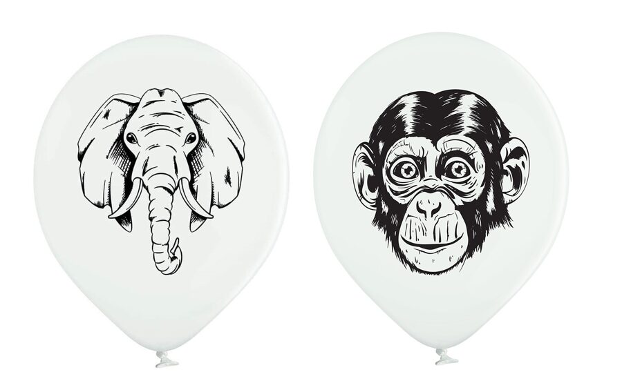 30 cm lateksa balons "Zilonis - Pērtiķīs" - 1 gb.