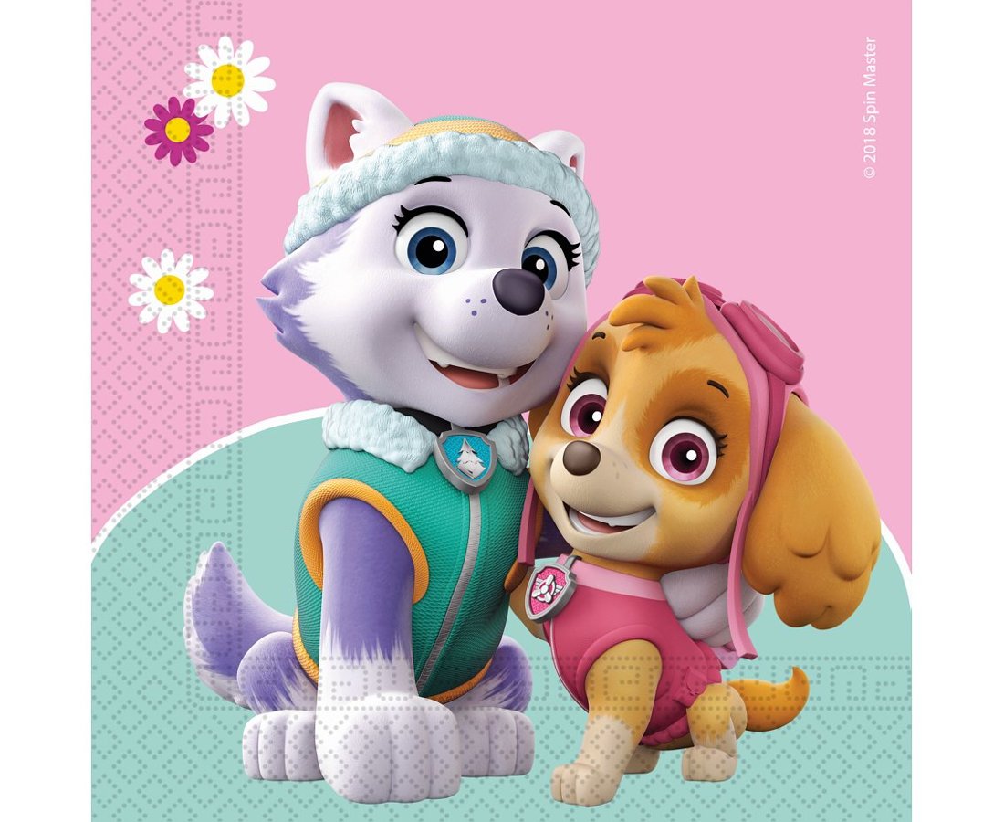 Salvetes "Paw Patrol girls", 20 gb